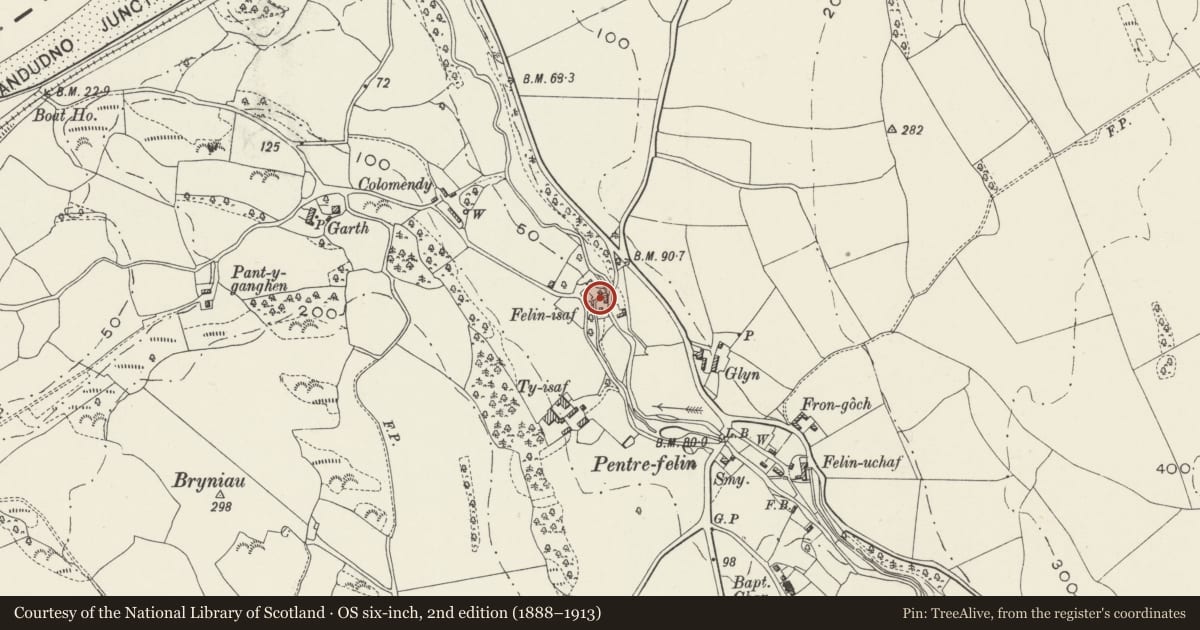Ordnance Survey six-inch map, 2nd edition (1888–1913) covering the location of Clover Mill, Llansanffraid Glan Conwy, Conwy, with a pin at the register's coordinates