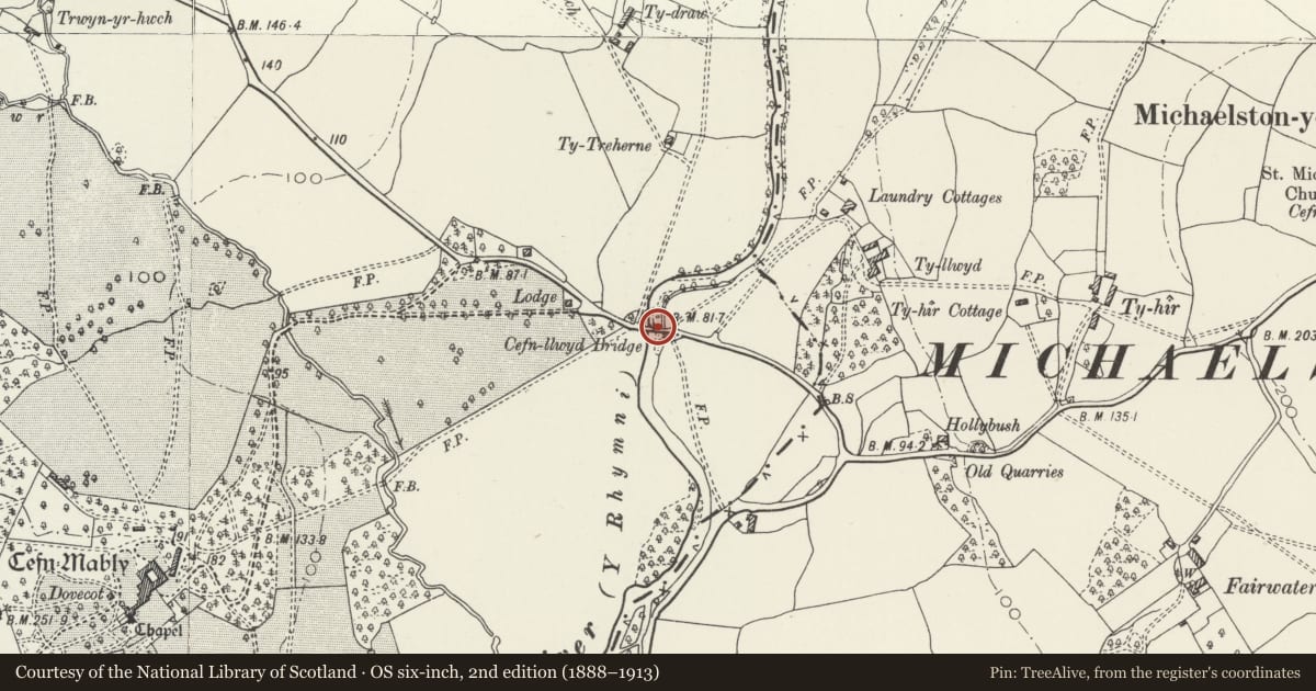 Ordnance Survey six-inch map, 2nd edition (1888–1913) covering the location of Cefn Mably Bridge, Michaelstone-y-Fedw, Newport, with a pin at the register's coordinates