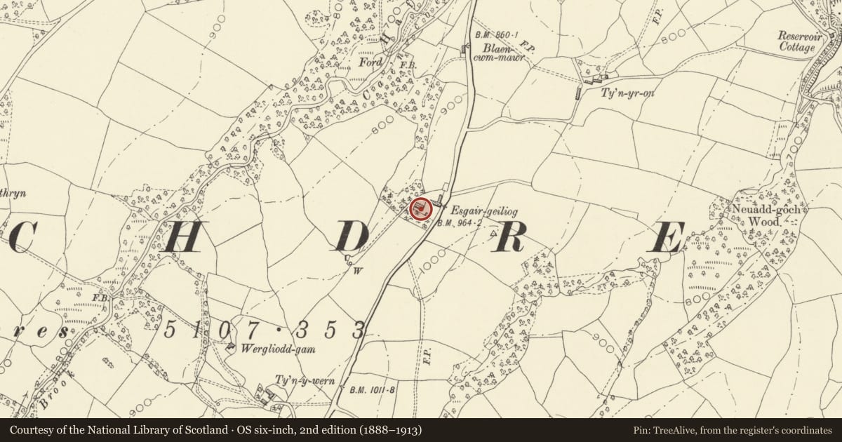 Ordnance Survey six-inch map, 2nd edition (1888–1913) covering the location of Esgairgeiliog Hall, Mochdre, Powys, with a pin at the register's coordinates