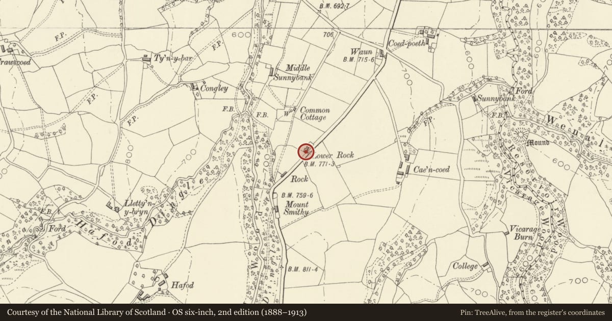 Ordnance Survey six-inch map, 2nd edition (1888–1913) covering the location of The Rock, with attached cow house, Mochdre, Powys, with a pin at the register's coordinates
