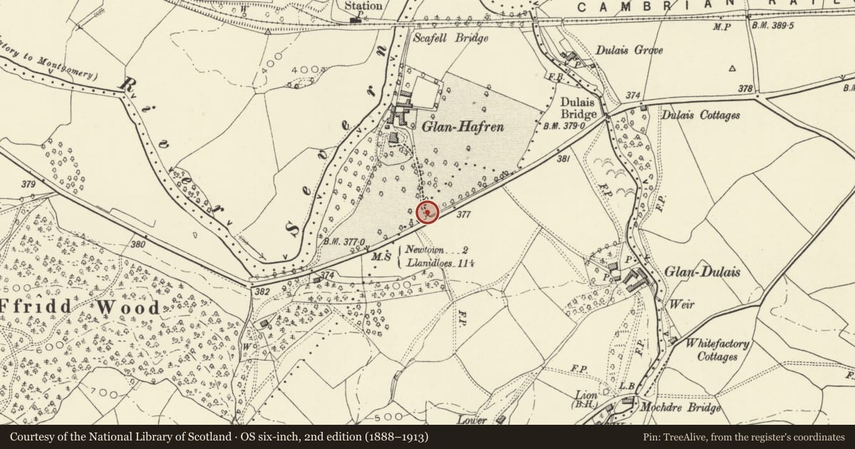 Ordnance Survey six-inch map, 2nd edition (1888–1913) covering the location of Glanhafren Hall gateway, Mochdre, Powys, with a pin at the register's coordinates