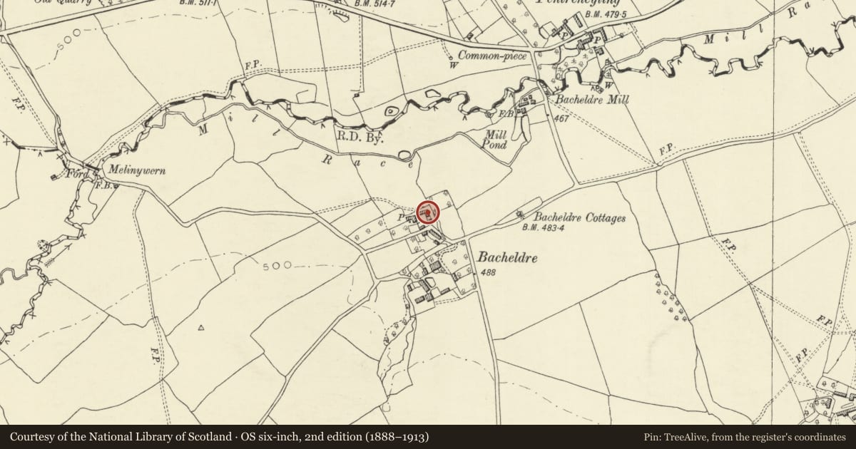 Ordnance Survey six-inch map, 2nd edition (1888–1913) covering the location of Bacheldre Barns, Churchstoke, Powys, with a pin at the register's coordinates