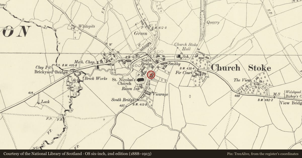Ordnance Survey six-inch map, 2nd edition (1888–1913) covering the location of Sylfaen, Churchstoke, Powys, with a pin at the register's coordinates