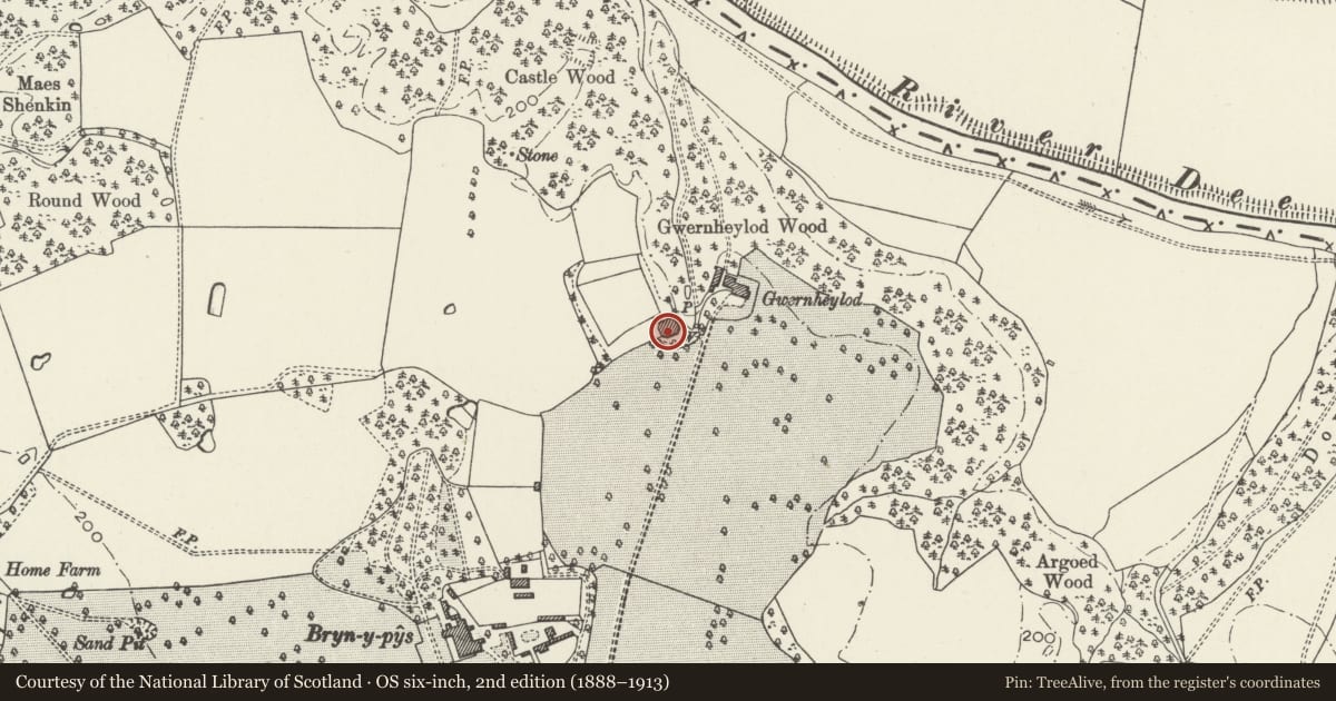 Ordnance Survey six-inch map, 2nd edition (1888–1913) covering the location of Stable-Block at Gwernheylod, Overton, Wrexham, with a pin at the register's coordinates