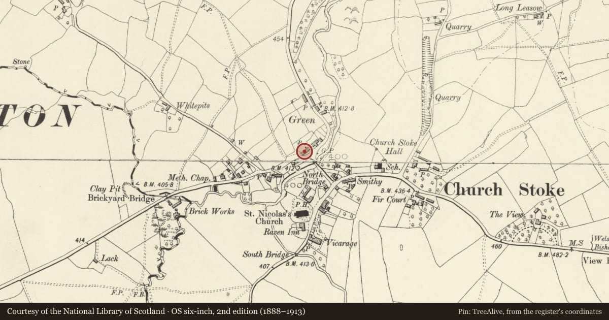 Ordnance Survey six-inch map, 2nd edition (1888–1913) covering the location of 2 Bridge End, Churchstoke, Powys, with a pin at the register's coordinates