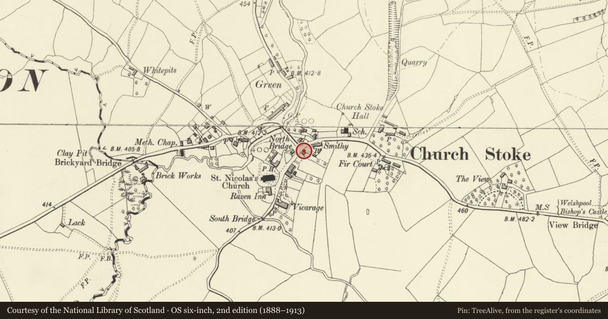 Ordnance Survey six-inch map, 2nd edition (1888–1913) covering the location of Bridge View, Churchstoke, Powys, with a pin at the register's coordinates