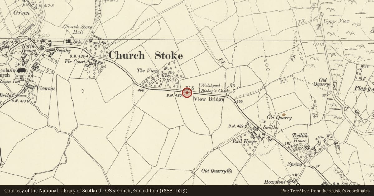 Ordnance Survey six-inch map, 2nd edition (1888–1913) covering the location of Milestone, Churchstoke, Powys, with a pin at the register's coordinates