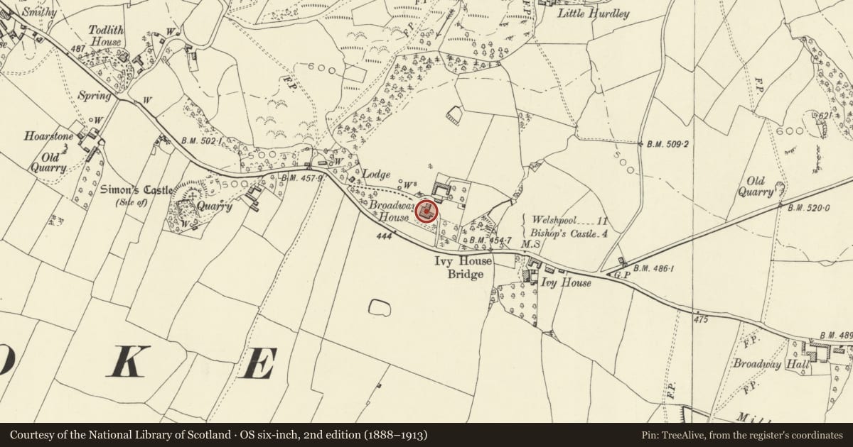 Ordnance Survey six-inch map, 2nd edition (1888–1913) covering the location of Broadway House, Churchstoke, Powys, with a pin at the register's coordinates