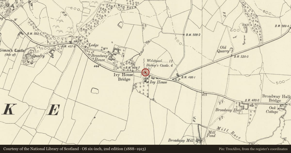 Ordnance Survey six-inch map, 2nd edition (1888–1913) covering the location of Milestone, Churchstoke, Powys, with a pin at the register's coordinates