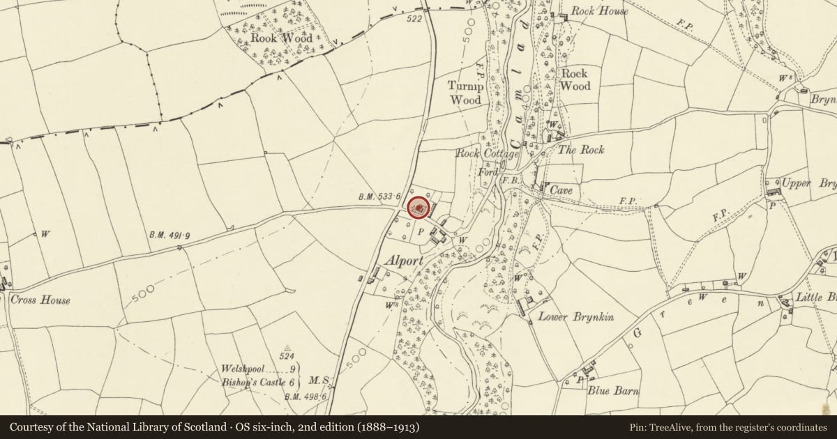 Ordnance Survey six-inch map, 2nd edition (1888–1913) covering the location of Upper Alport, Churchstoke, Powys, with a pin at the register's coordinates