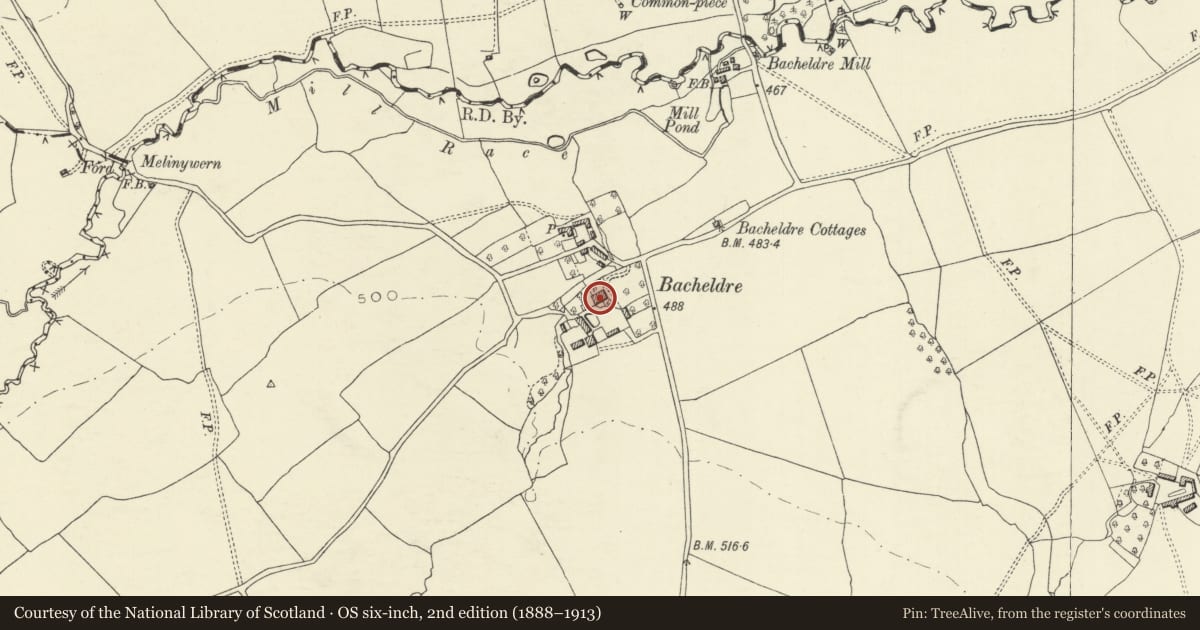 Ordnance Survey six-inch map, 2nd edition (1888–1913) covering the location of Bacheldre Hall, Churchstoke, Powys, with a pin at the register's coordinates