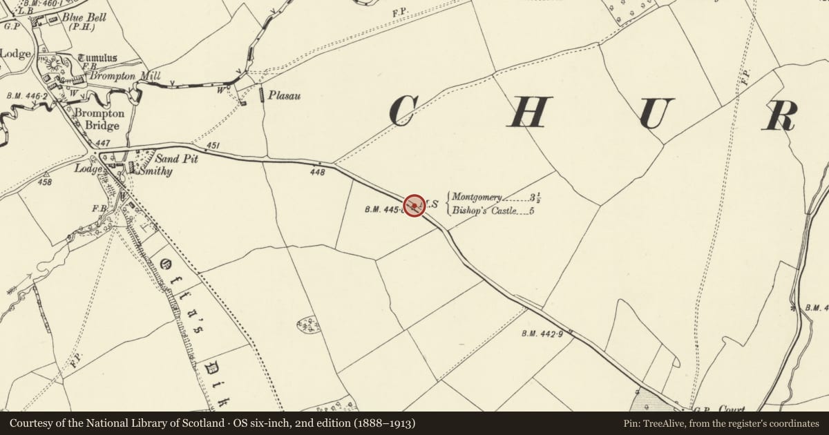 Ordnance Survey six-inch map, 2nd edition (1888–1913) covering the location of Milestone, Churchstoke, Powys, with a pin at the register's coordinates