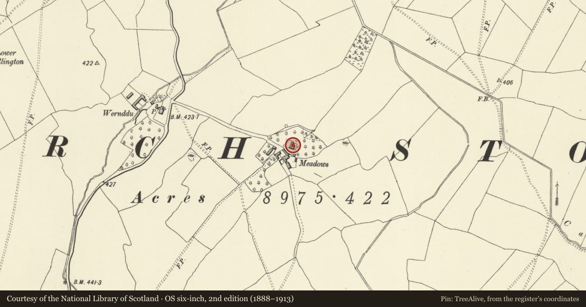 Ordnance Survey six-inch map, 2nd edition (1888–1913) covering the location of The Meadows, Churchstoke, Powys, with a pin at the register's coordinates