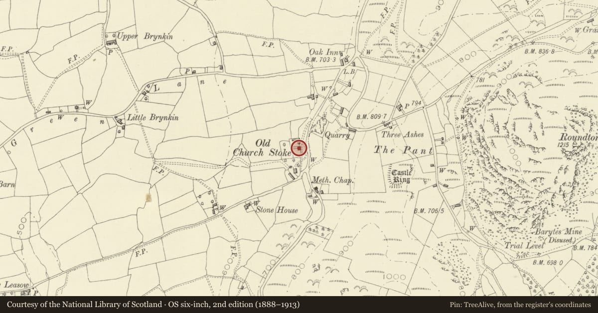 Ordnance Survey six-inch map, 2nd edition (1888–1913) covering the location of Glebe Farm, Churchstoke, Powys, with a pin at the register's coordinates