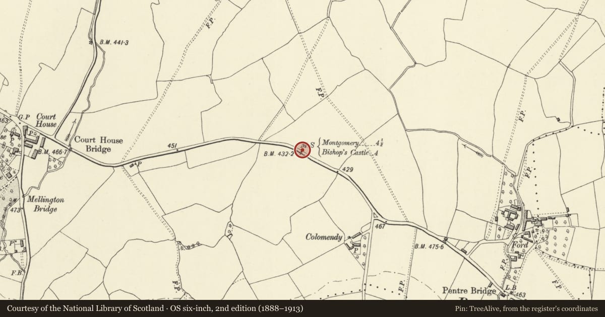 Ordnance Survey six-inch map, 2nd edition (1888–1913) covering the location of Milestone, Churchstoke, Powys, with a pin at the register's coordinates