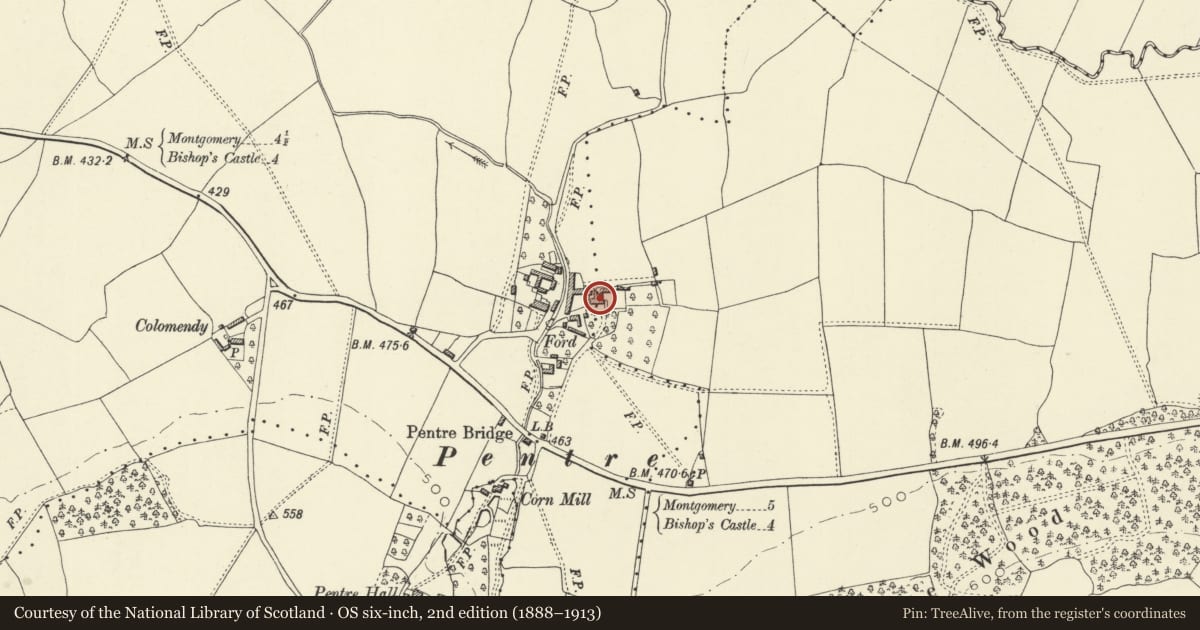 Ordnance Survey six-inch map, 2nd edition (1888–1913) covering the location of Pentre House, Churchstoke, Powys, with a pin at the register's coordinates