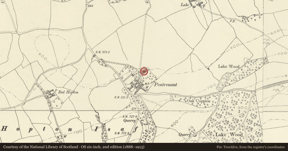 Ordnance Survey six-inch map, 2nd edition (1888–1913) covering the location of Pentrenant Hall, Churchstoke, Powys, with a pin at the register's coordinates