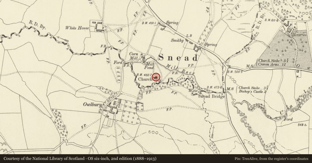 Ordnance Survey six-inch map, 2nd edition (1888–1913) covering the location of Church of St Mary The Virgin, Churchstoke, Powys, with a pin at the register's coordinates
