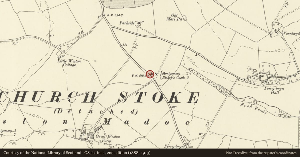Ordnance Survey six-inch map, 2nd edition (1888–1913) covering the location of Milestone, Montgomery, Powys, with a pin at the register's coordinates