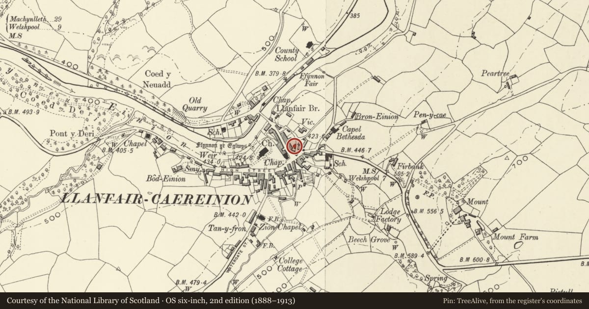 Ordnance Survey six-inch map, 2nd edition (1888–1913) covering the location of Old Bank House (House to the North ), Llanfair Caereinion, Powys, with a pin at the register's coordinates
