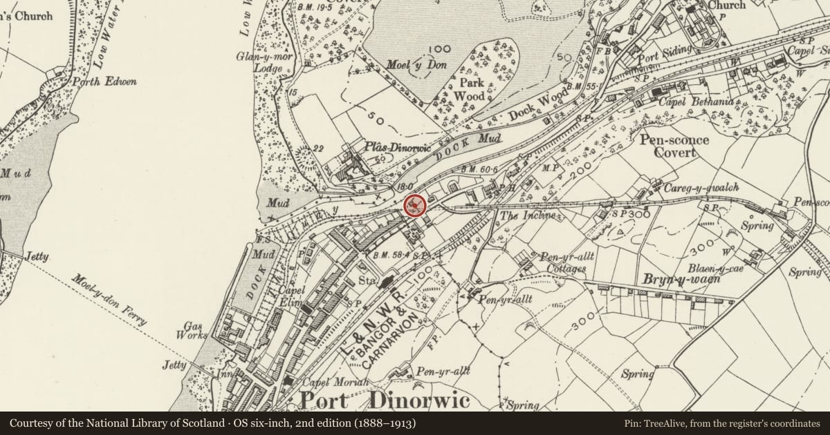 Ordnance Survey six-inch map, 2nd edition (1888–1913) covering the location of Former Dock Offices at Y Felinheli, Gwynedd, with a pin at the register's coordinates