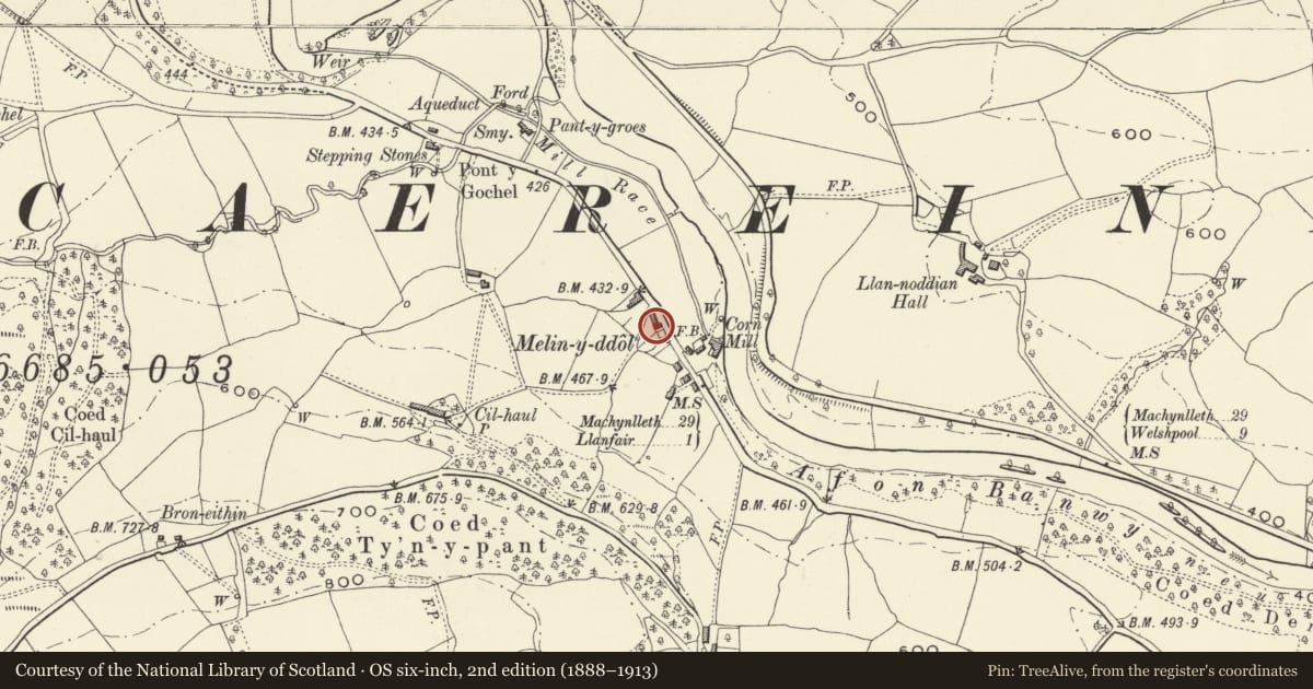 Ordnance Survey six-inch map, 2nd edition (1888–1913) covering the location of Detached outbuildings to south of Melin-y-ddol, Llanfair Caereinion, Powys, with a pin at the register's coordinates