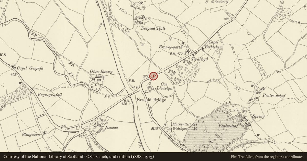 Ordnance Survey six-inch map, 2nd edition (1888–1913) covering the location of Mile Post at Neuadd Bridge, Llanfair Caereinion, Powys, with a pin at the register's coordinates