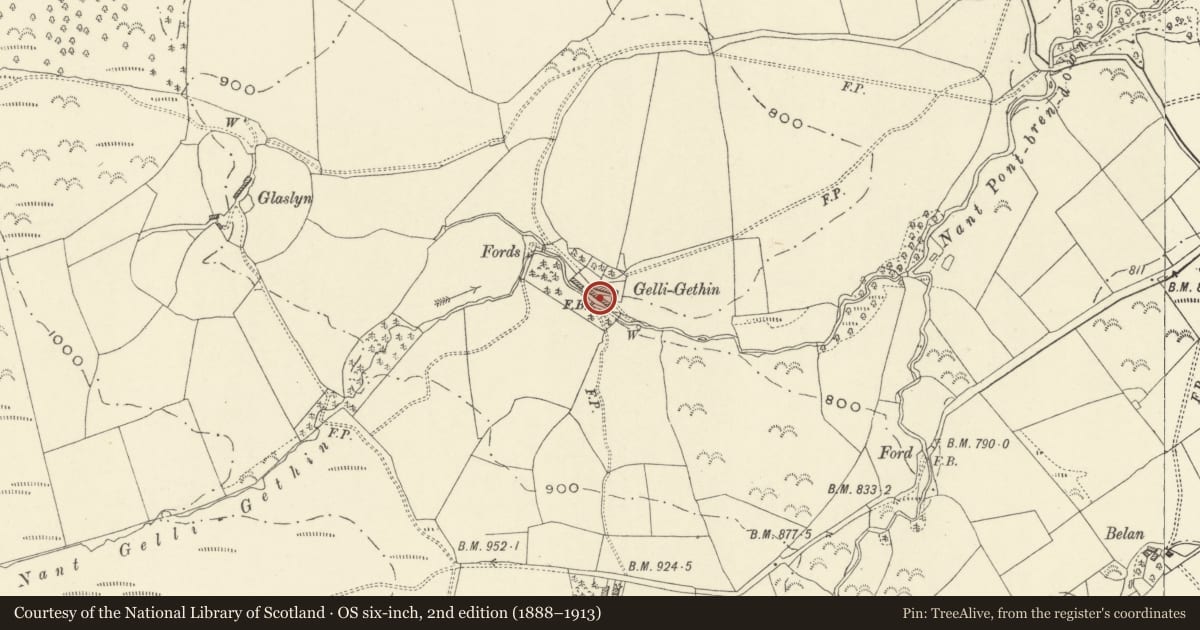 Ordnance Survey six-inch map, 2nd edition (1888–1913) covering the location of Gelli Gethin Farmhouse, Llanfair Caereinion, Powys, with a pin at the register's coordinates