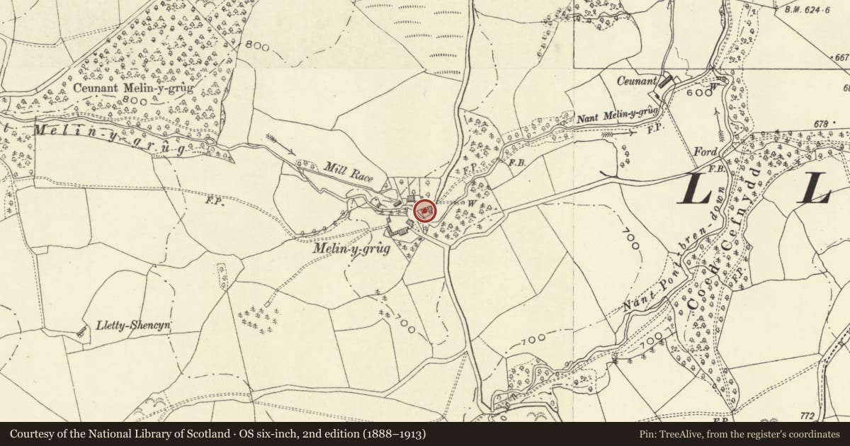 Ordnance Survey six-inch map, 2nd edition (1888–1913) covering the location of Melin-y-grug, Llanfair Caereinion, Powys, with a pin at the register's coordinates