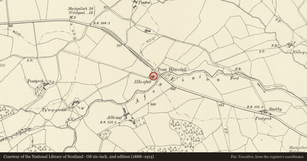 Ordnance Survey six-inch map, 2nd edition (1888–1913) covering the location of Henefail, Llanfair Caereinion, Powys, with a pin at the register's coordinates