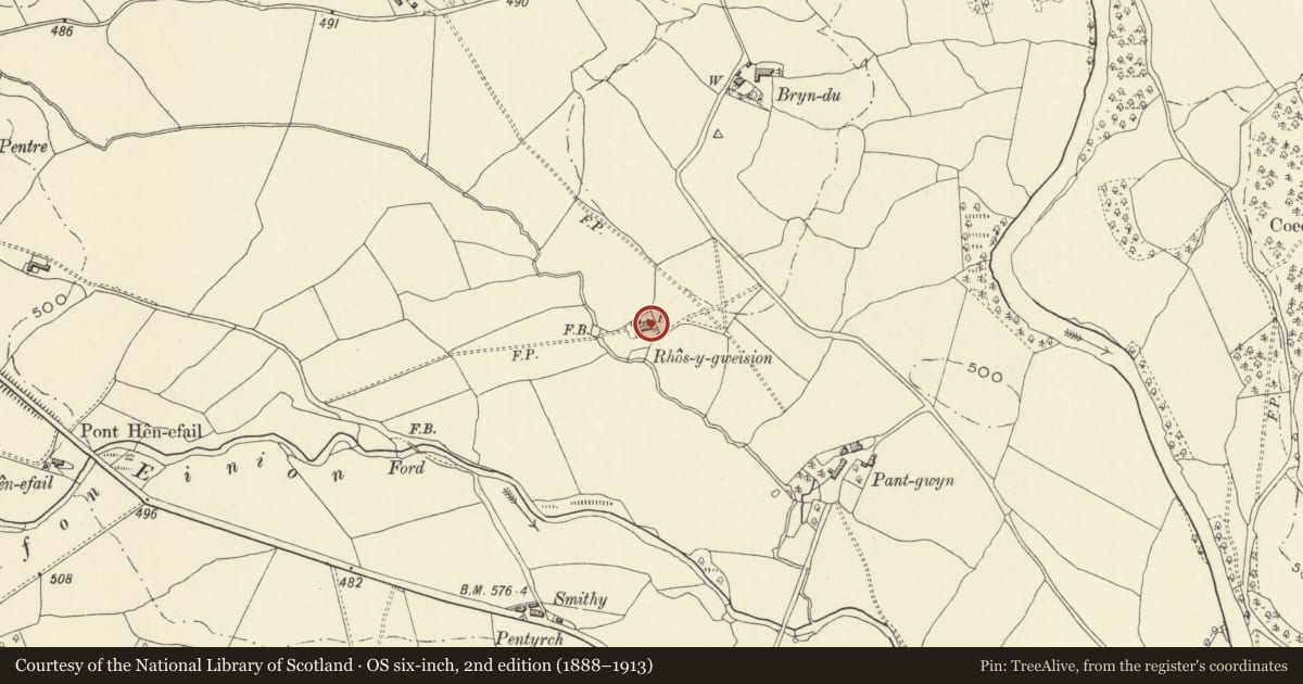 Ordnance Survey six-inch map, 2nd edition (1888–1913) covering the location of Rhos-y-Gweision, Llanfair Caereinion, Powys, with a pin at the register's coordinates