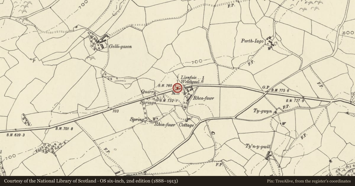 Ordnance Survey six-inch map, 2nd edition (1888–1913) covering the location of Milestone, Llanfair Caereinion, Powys, with a pin at the register's coordinates