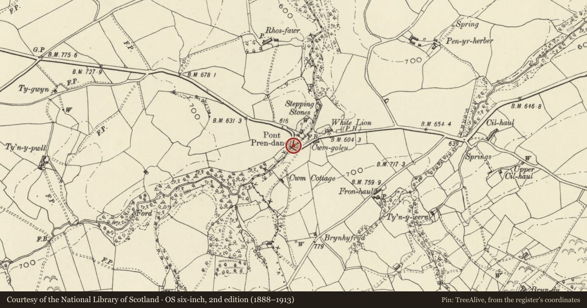 Ordnance Survey six-inch map, 2nd edition (1888–1913) covering the location of Pont Pren-dano, Llanfair Caereinion, Powys, with a pin at the register's coordinates