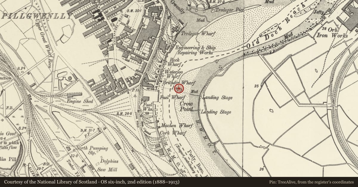 Ordnance Survey six-inch map, 2nd edition (1888–1913) covering the location of Transporter Bridge including E and W anchor chambers, Liswerry, Newport, with a pin at the register's coordinates