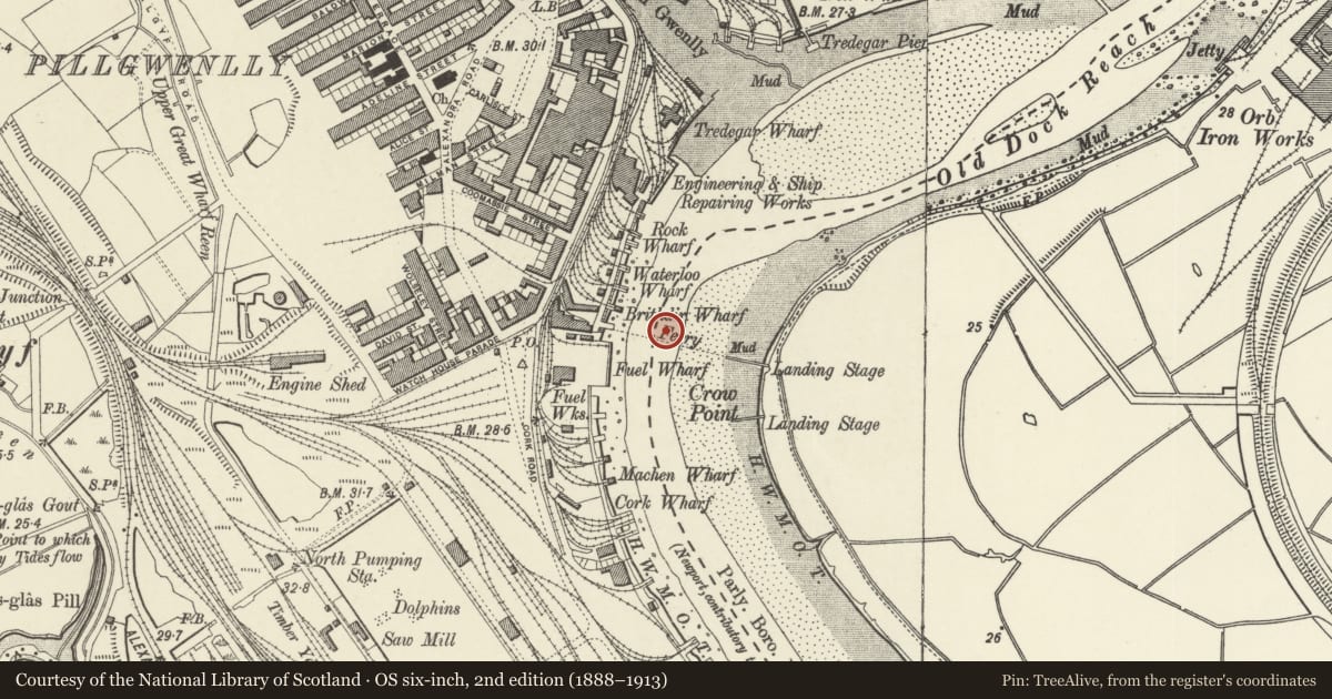 Ordnance Survey six-inch map, 2nd edition (1888–1913) covering the location of Transporter Bridge including E and W anchor chambers, Pillgwenlly, Newport, with a pin at the register's coordinates