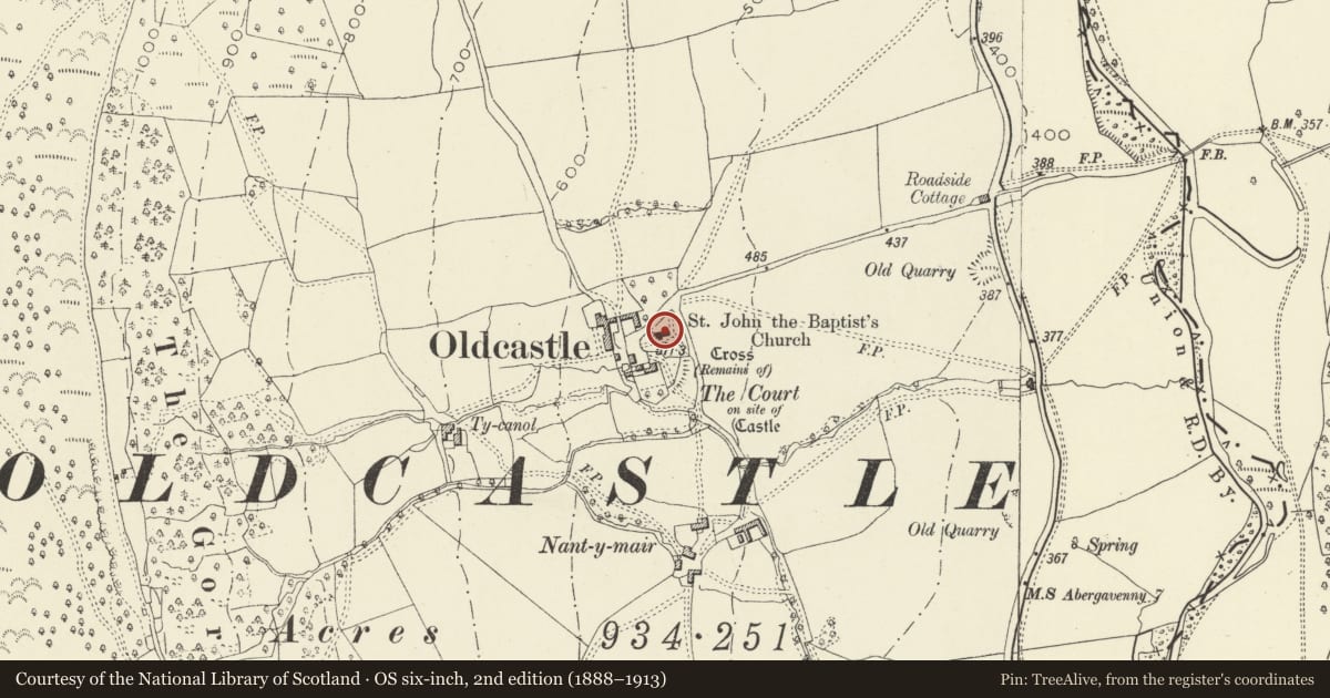Ordnance Survey six-inch map, 2nd edition (1888–1913) covering the location of Church of St John the Baptist, Crucorney, Monmouthshire, with a pin at the register's coordinates