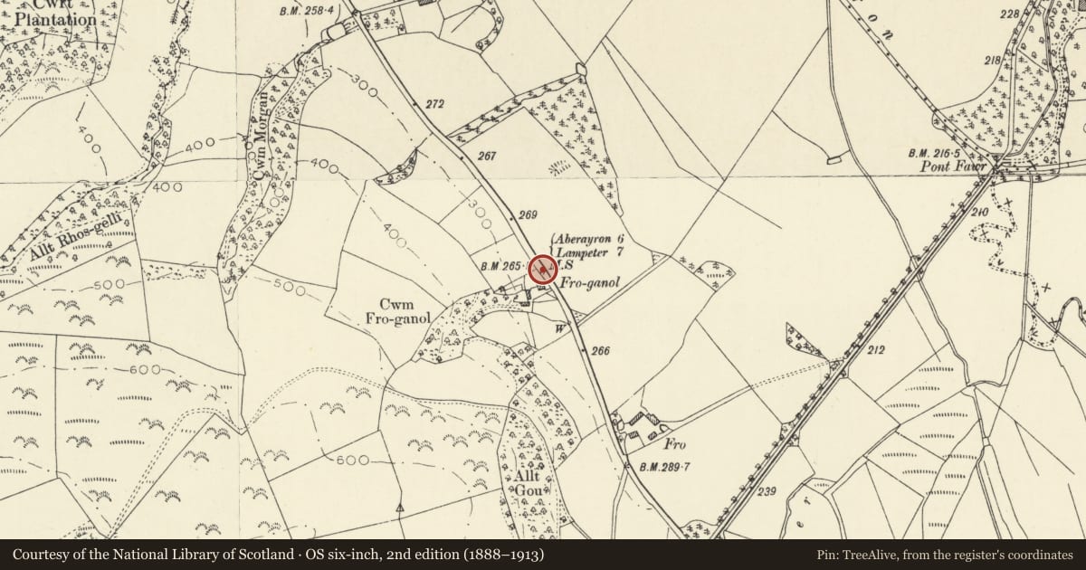 Ordnance Survey six-inch map, 2nd edition (1888–1913) covering the location of Milestone at entrance to Felin Fach Theatre, Llanfihangel Ystrad, Ceredigion, with a pin at the register's coordinates