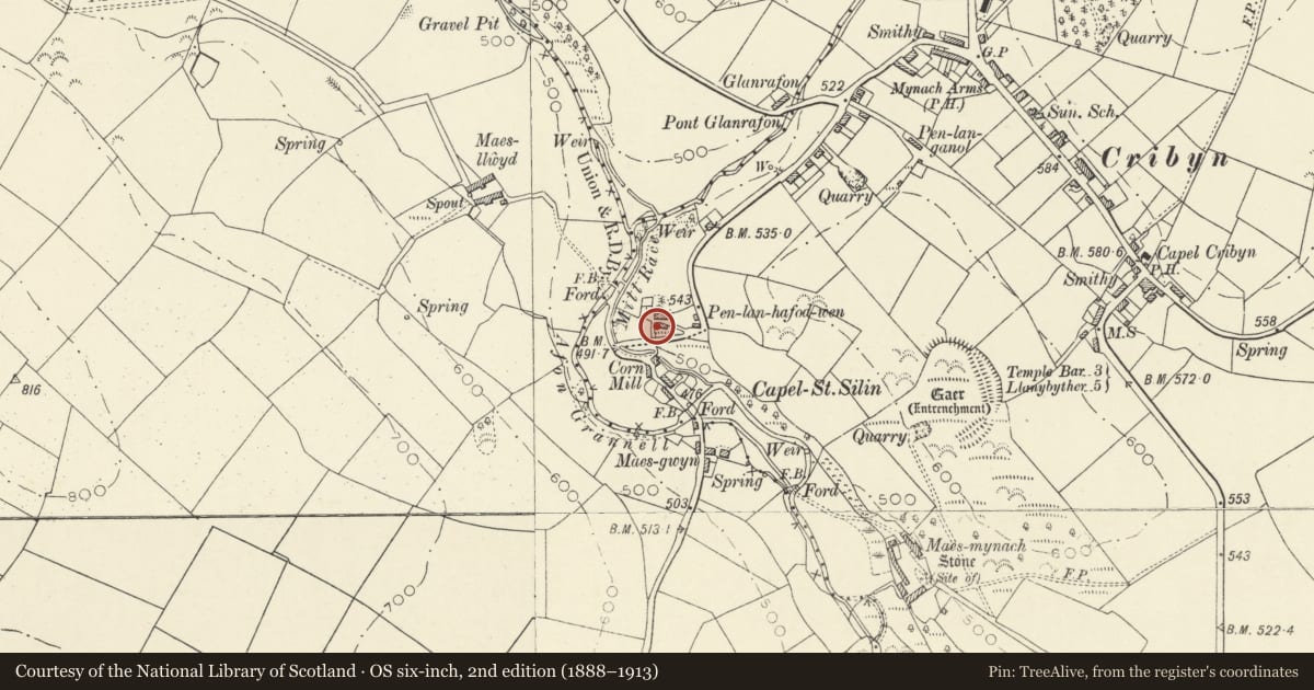 Ordnance Survey six-inch map, 2nd edition (1888–1913) covering the location of Stable/carthouse at Penlan-hafodwen (also known as Penlan-capel), Llanfihangel Ystrad, Ceredigion, with a pin at the register's coordinates