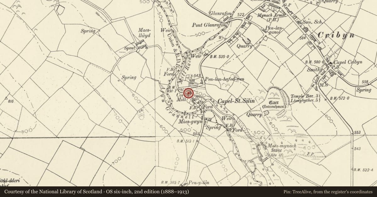 Ordnance Survey six-inch map, 2nd edition (1888–1913) covering the location of Felin-hafodwen, Llanfihangel Ystrad, Ceredigion, with a pin at the register's coordinates