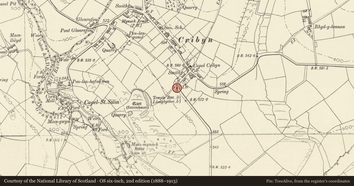 Ordnance Survey six-inch map, 2nd edition (1888–1913) covering the location of Milepost outside Tangaer, Llanfihangel Ystrad, Ceredigion, with a pin at the register's coordinates