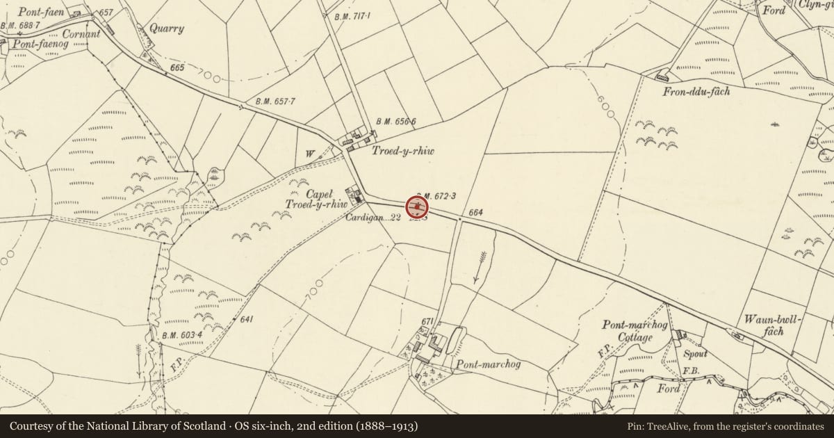 Ordnance Survey six-inch map, 2nd edition (1888–1913) covering the location of Milestone on S side of road near Capel Troedyrhiw, Llanfihangel Ystrad, Ceredigion, with a pin at the register's coordinates