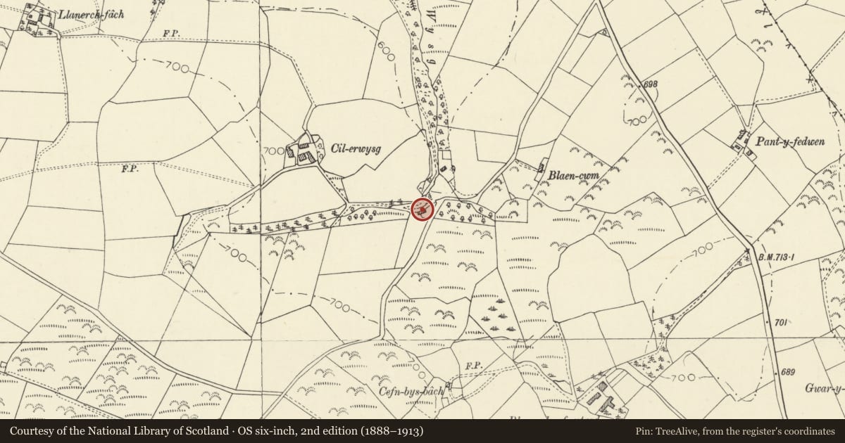 Ordnance Survey six-inch map, 2nd edition (1888–1913) covering the location of Cottage at entrance to Cilerwysg, Llanfihangel Ystrad, Ceredigion, with a pin at the register's coordinates