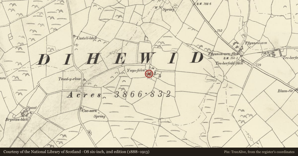 Ordnance Survey six-inch map, 2nd edition (1888–1913) covering the location of Ynys-felen, Llanfihangel Ystrad, Ceredigion, with a pin at the register's coordinates