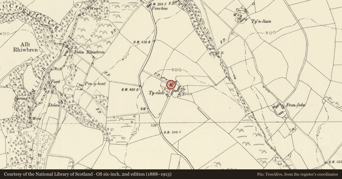 Ordnance Survey six-inch map, 2nd edition (1888–1913) covering the location of Ty-coch, Llanfihangel Ystrad, Ceredigion, with a pin at the register's coordinates