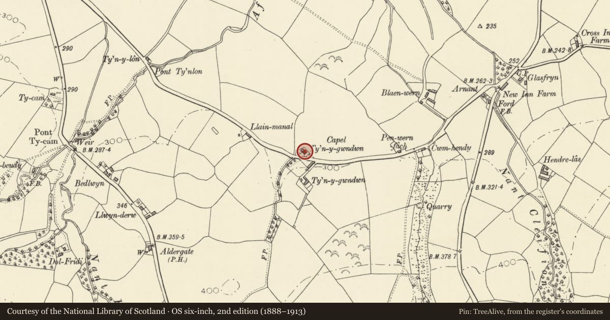 Ordnance Survey six-inch map, 2nd edition (1888–1913) covering the location of Capel Ty'nygwndwn (Independent), Llanfihangel Ystrad, Ceredigion, with a pin at the register's coordinates