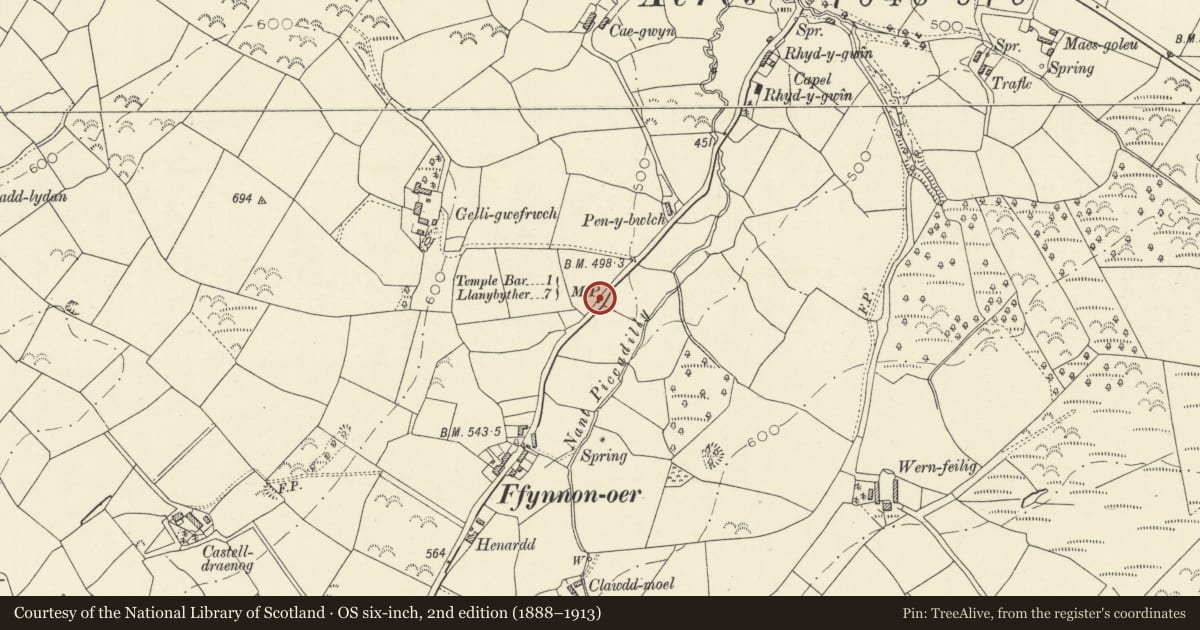 Ordnance Survey six-inch map, 2nd edition (1888–1913) covering the location of Milepost opposite Glanllyn Lodge, Llanfihangel Ystrad, Ceredigion, with a pin at the register's coordinates