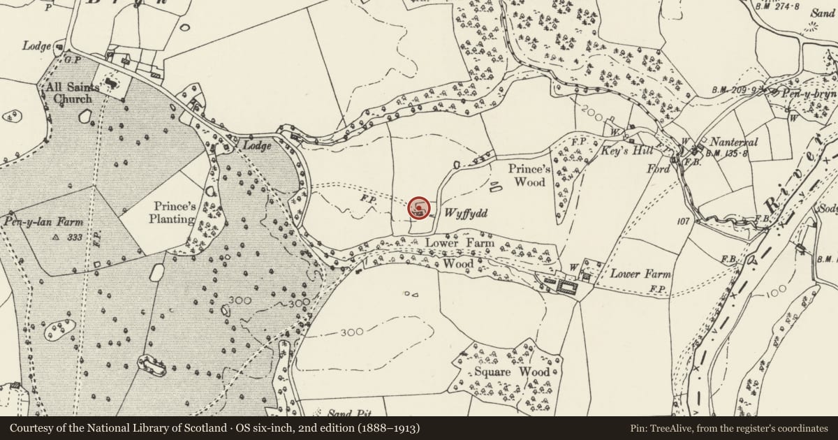Ordnance Survey six-inch map, 2nd edition (1888–1913) covering the location of Wyfydd, Ruabon, Wrexham, with a pin at the register's coordinates