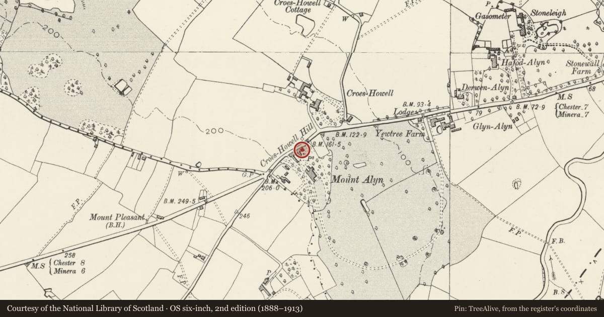 Ordnance Survey six-inch map, 2nd edition (1888–1913) covering the location of Mount Alyn Lodge (including gate piers at drive entrance), Rossett, Wrexham, with a pin at the register's coordinates