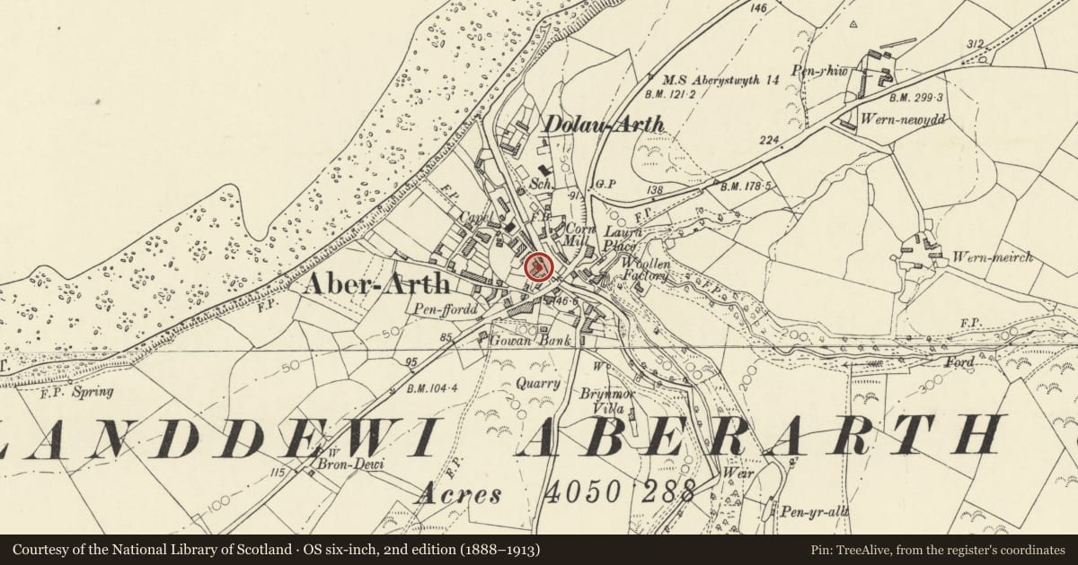Ordnance Survey six-inch map, 2nd edition (1888–1913) covering the location of Delfan, Dyffryn Arth, Ceredigion, with a pin at the register's coordinates