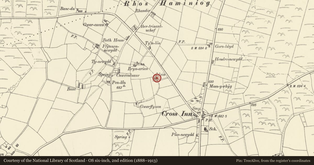 Ordnance Survey six-inch map, 2nd edition (1888–1913) covering the location of Llain including outbuilding attached to right, Dyffryn Arth, Ceredigion, with a pin at the register's coordinates